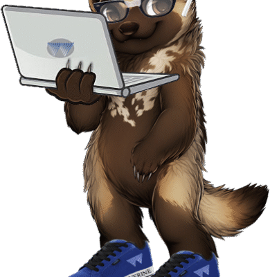 IT SNEAKERS transparent