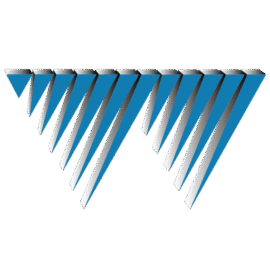 Wolverine Real Estate Services logo